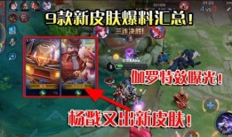 视频爆料皮肤,神秘皮肤背后的故事与魅力